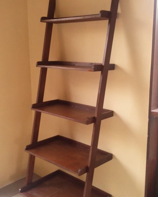 Ladder Lean Rack