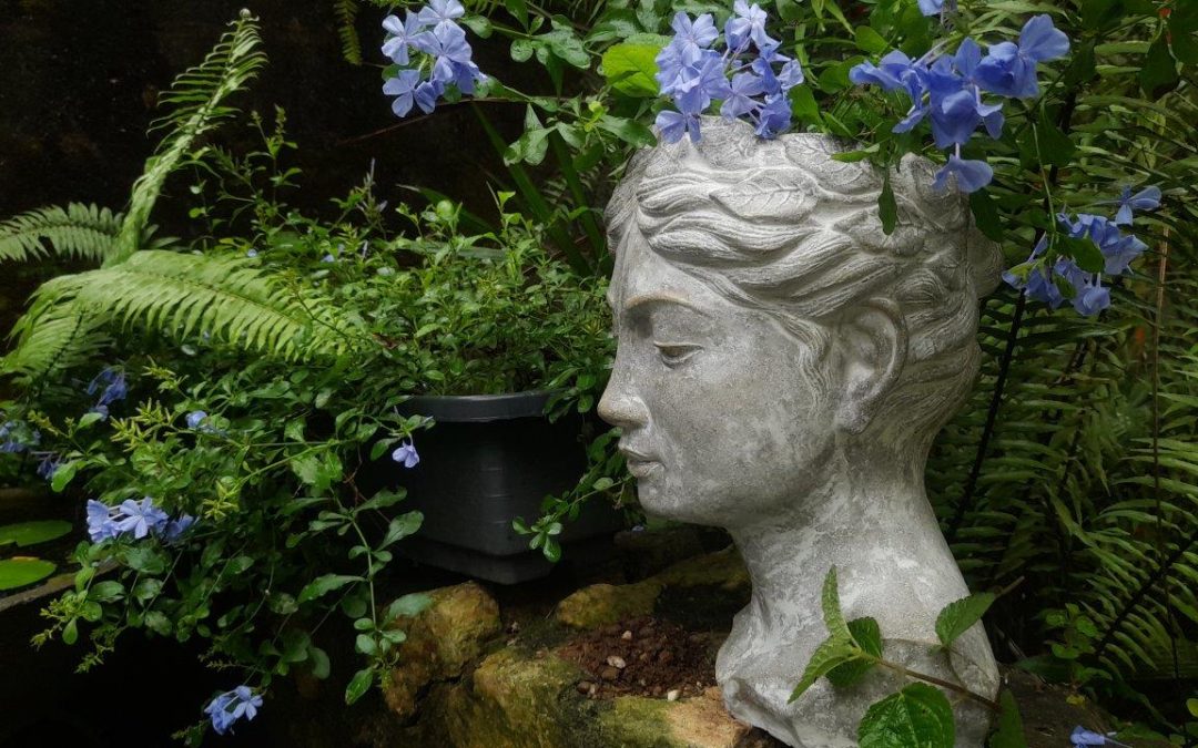 Head Planter, Cement Pot