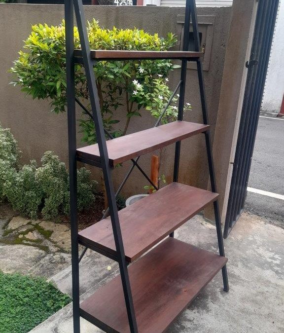 Lean Ladder Plant rack